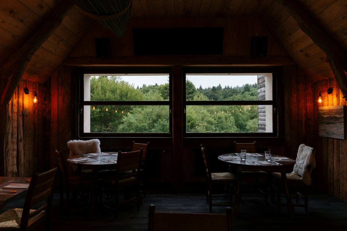 Restaurant Mood Lighting: 7 Proven Tips to Avoid Costly Mistakes